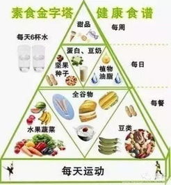 素食营养搭配食谱大全书籍